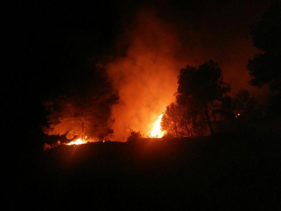 Controlado un incendio forestal en Bolulla