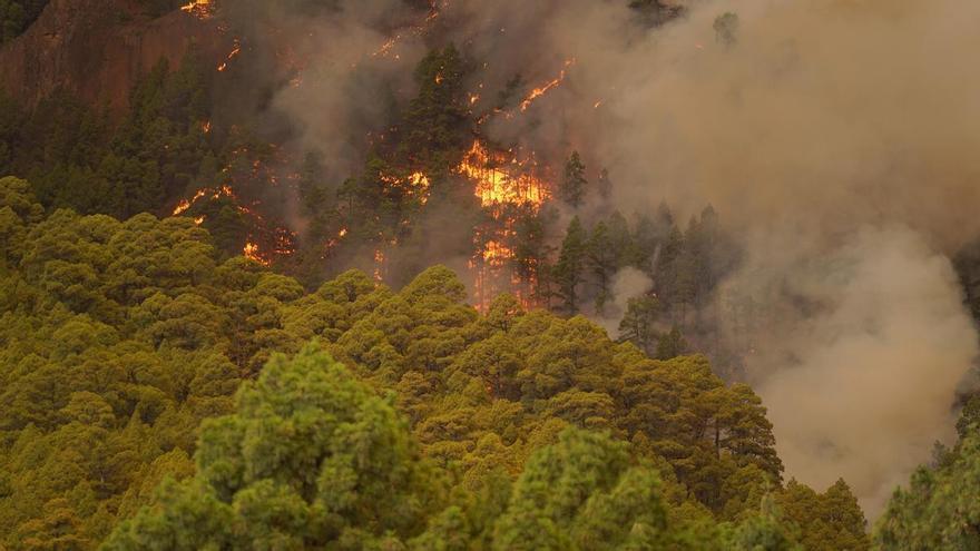 Un incendio nunca visto en Canarias