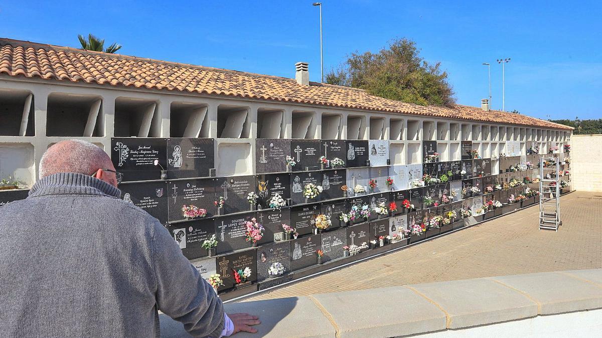 Hilera de nichos en el Interior del cementerio municipal de Torrevieja, en una imagen de archivo.   | TONY SEVILLA