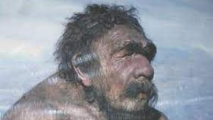 Identifiquen les diferències en el desenvolupament del cervell entre neandertals i humans moderns