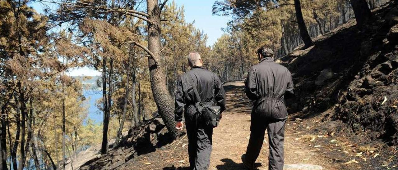 Agentes de Policía durante una inspección de un monte quemado en Pontevedra. // Gustavo Santos