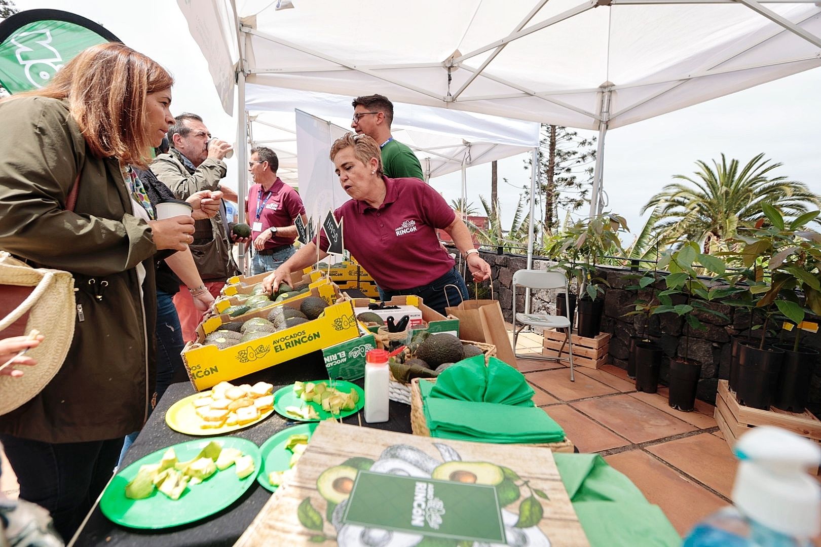 Feria del Aguacate en Tenerife