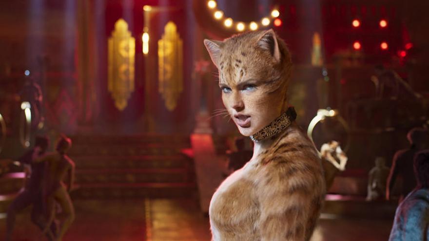 Pla mitjà d&#039;una de les protagonistes de la pel·lícula &#039;Cats&#039;.