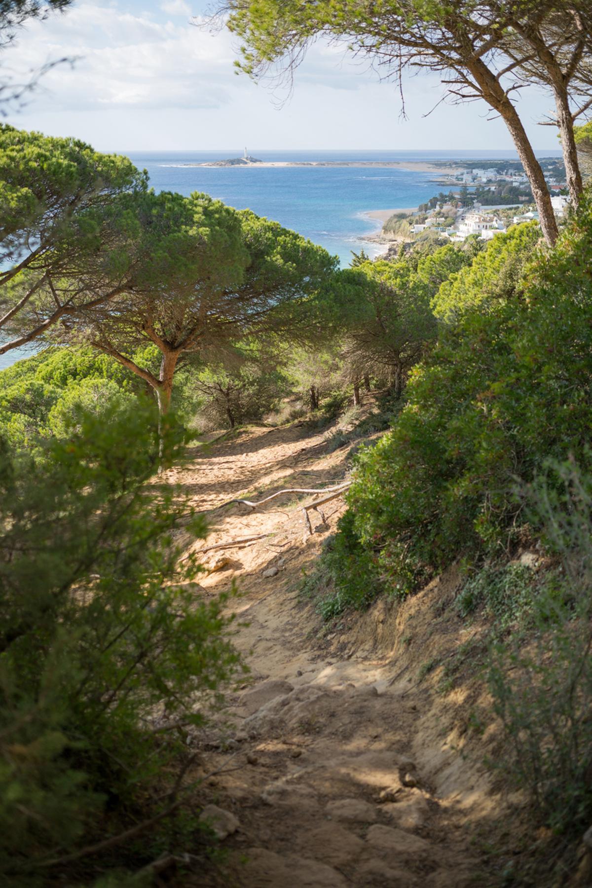 La Breña y Marismas del Barbate
