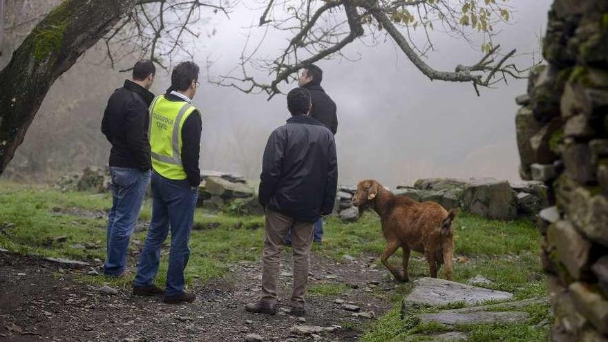 El fiscal y la Policía Judicial, en Santoalla, en una visita en 2014, antes de las detenciones. // Brais Lorenzo