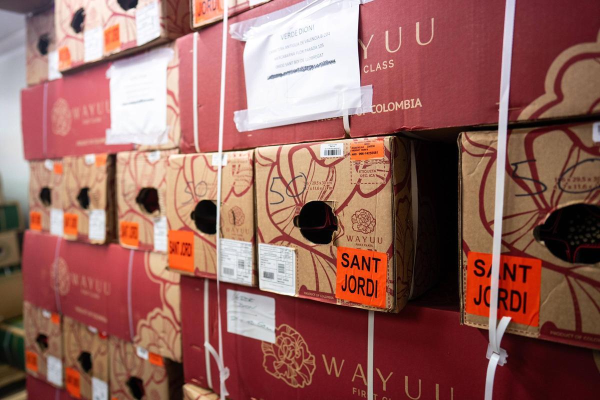 Mercabarna-flor se prepara para un Sant Jordi en el que se venderán 7 millones de rosas