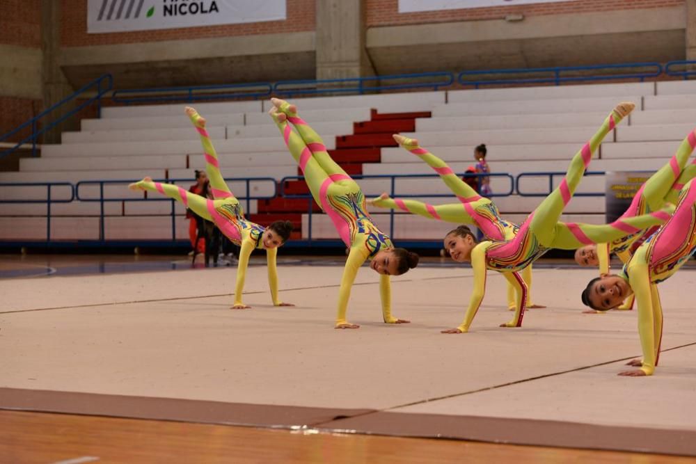 Campeonato Regional de Gimnasia Estética