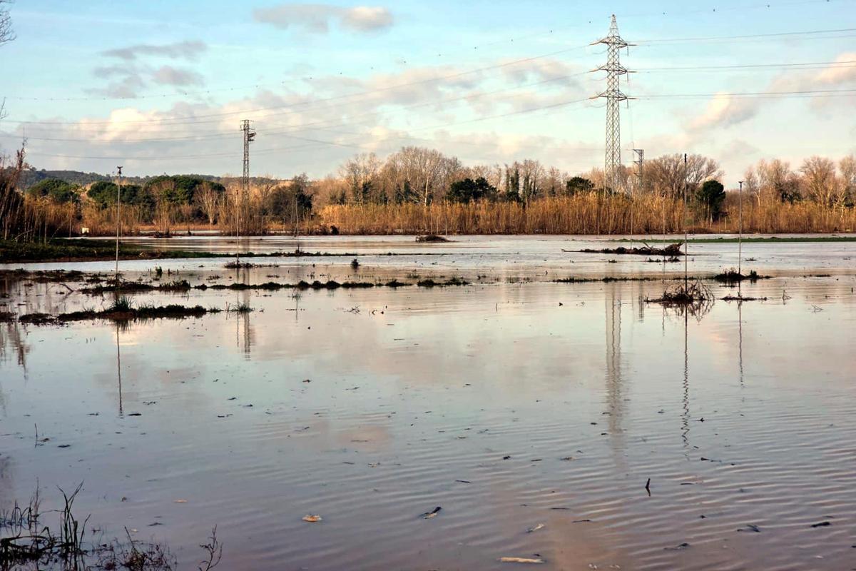 Molts dels camps del Baix Ter han quedat negats