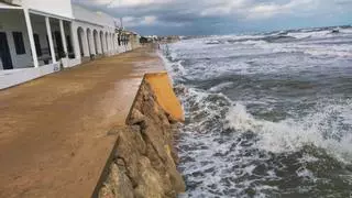 El Gobierno adjudica por 14,4 millones las obras de regeración de la playa de les Deveses de Dénia