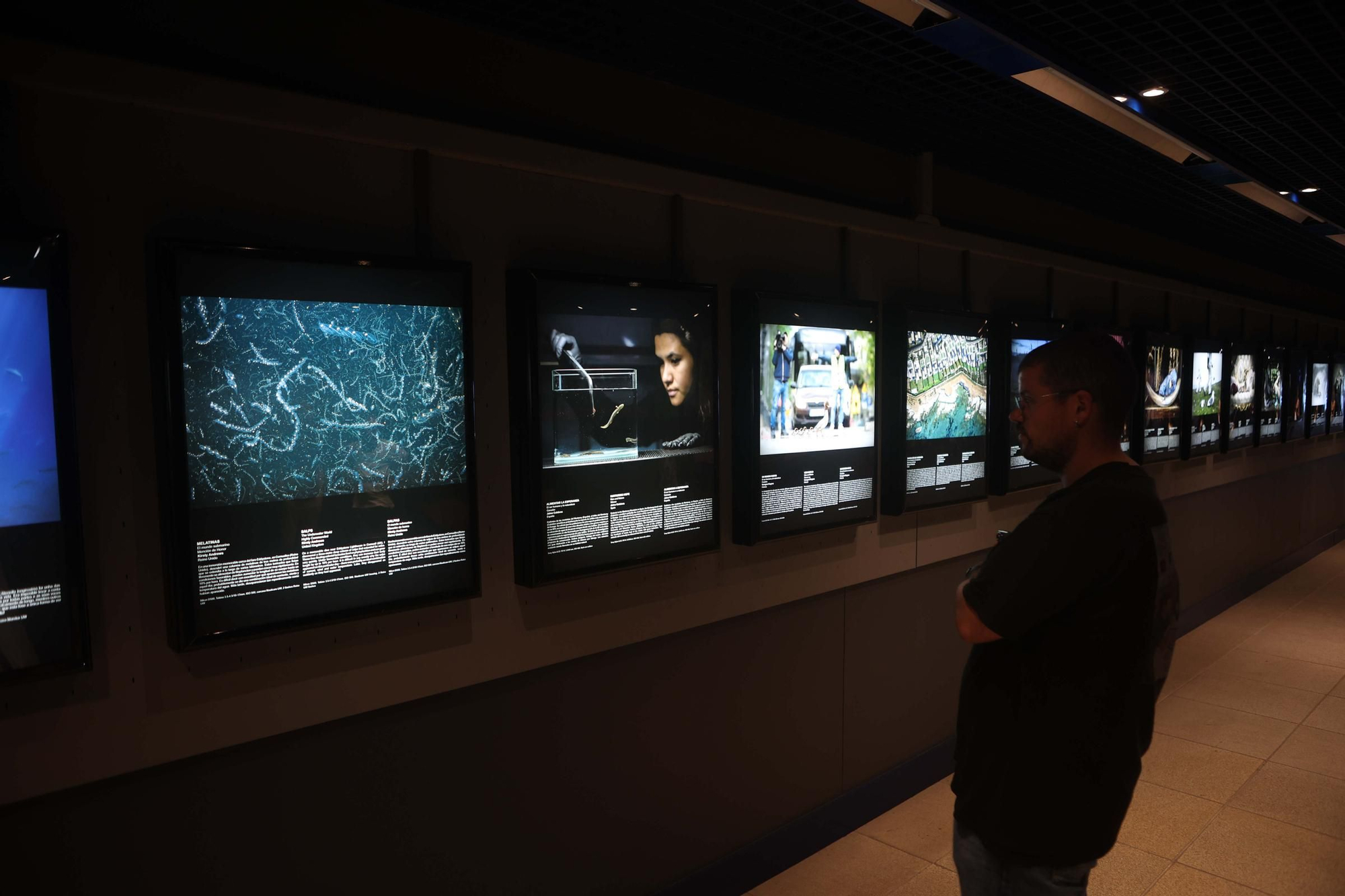 85 fotos forman parte de la exposición 'Fotógrafos na natureza' en el Aquarium