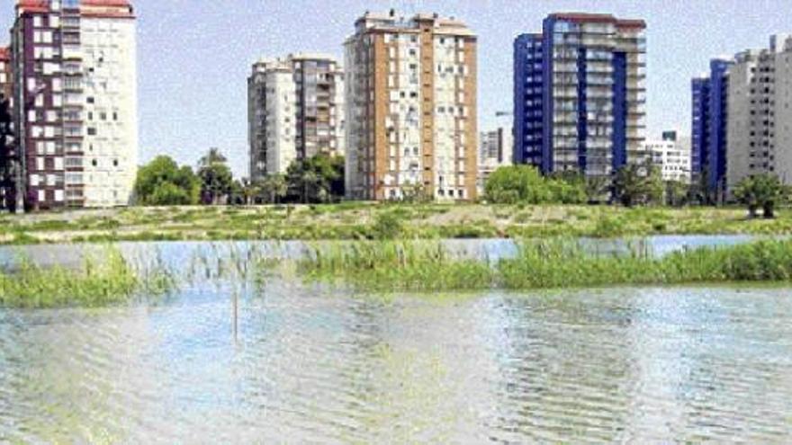 La construcción acelerada de la costa ha llevado a desecar un amplio porcentaje de los humedales costeros de la provincia de Castelló.