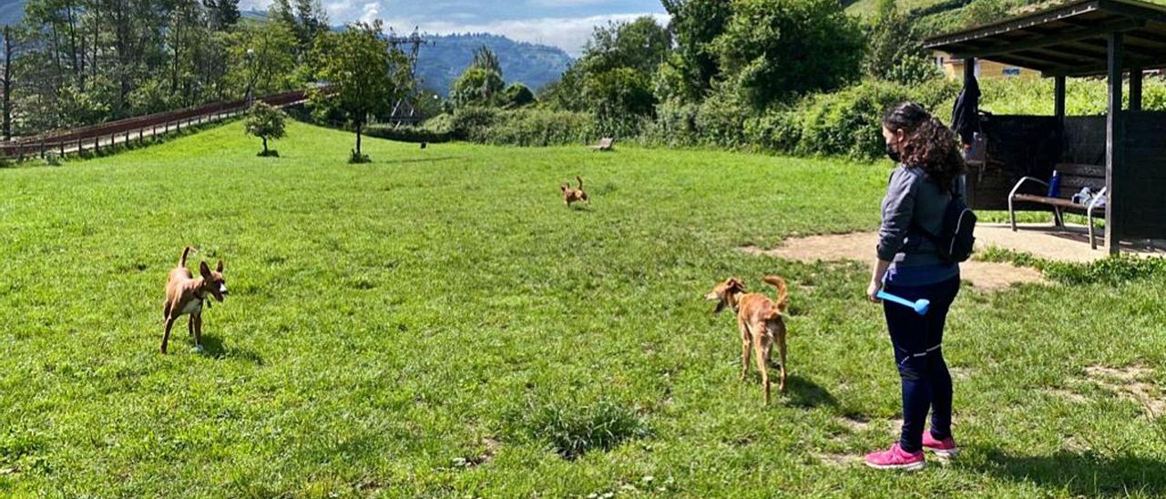 Una usuaria atiende a su perros en el área canina de la zona del paseo fluvial de Mieres, en la mañana de ayer. | J. R. S.