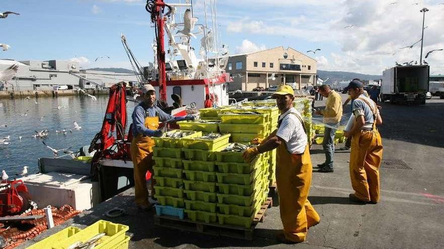 Un grupo de marineros descarga sardinas en el puerto de O Berbés. // Jesús de Arcos