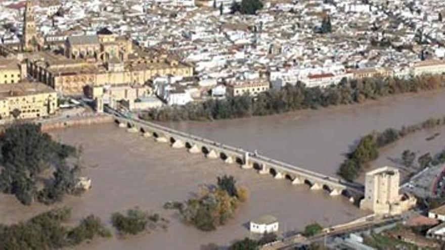 El Constitucional dice que el Guadalquivir es supracomunitario y su gestión es homogénea