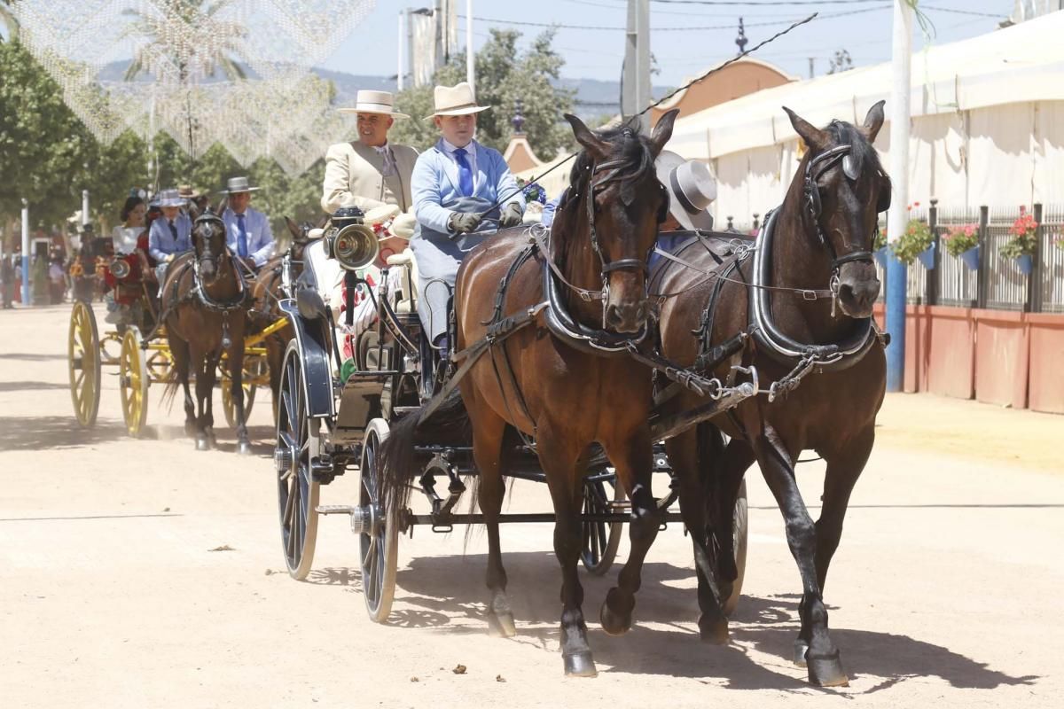 Los mejores en El Arenal