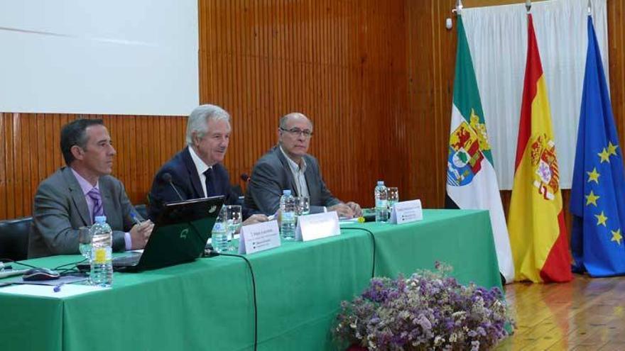 La Junta evaluará las secciones bilingües de los centros educativos de Extremadura