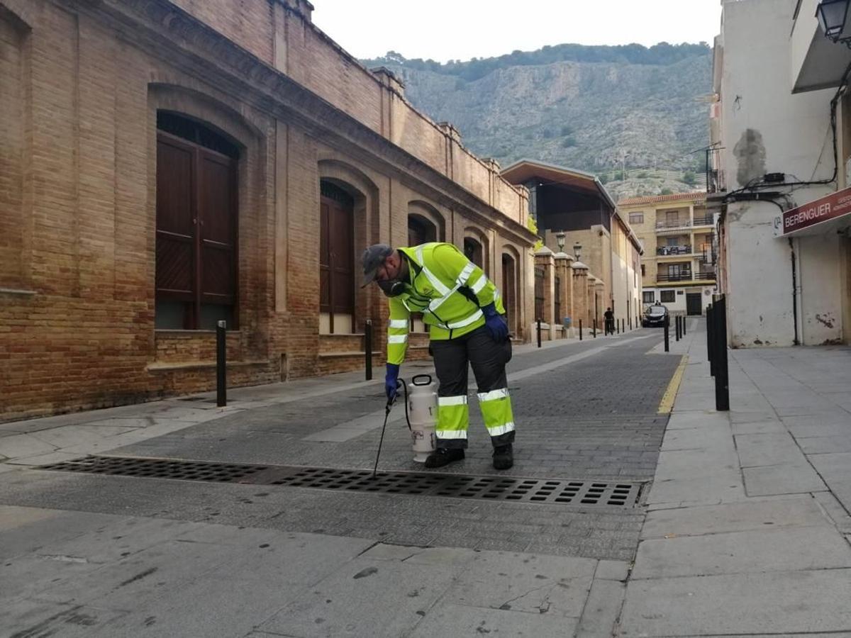 Un operario realiza un tratamiento contra el mosquito tigre en Cullera.