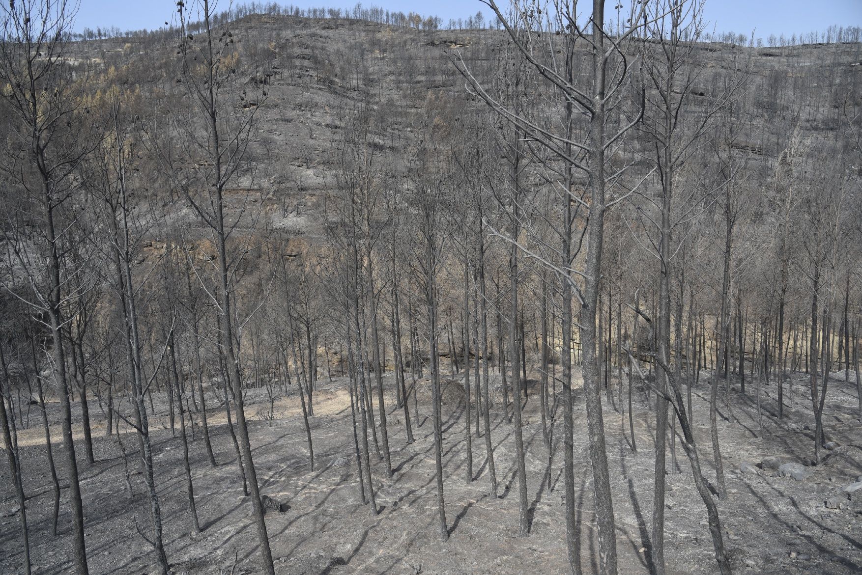 Així ha afectat el foc les tines de la Vall del Flequer