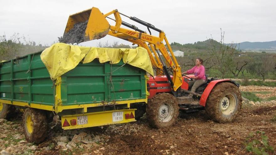 La mujer rural sigue en la sombra