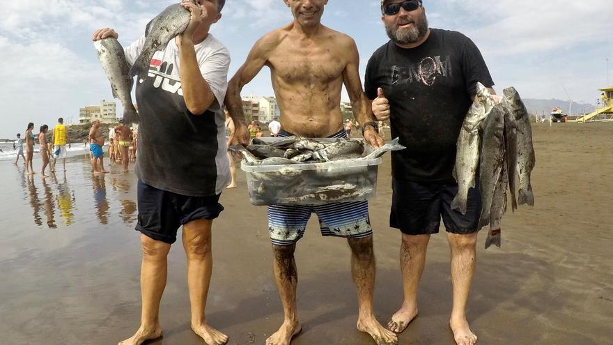 Recogida del chinchorro y teatralizacion de la venta del pescado en la Playa de Melenara