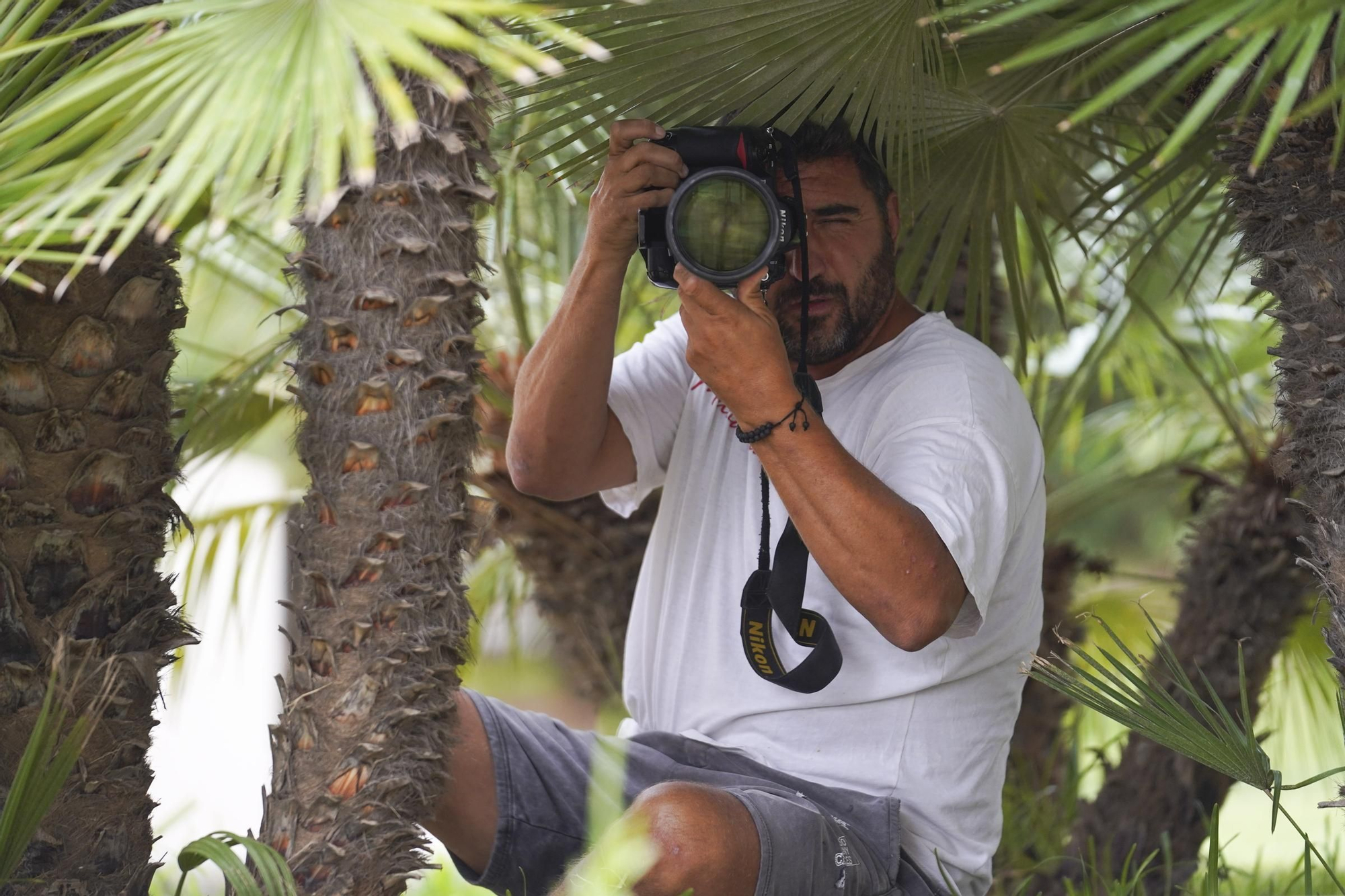 Mira aquí los personajes del verano pillados por Sergio Garrido