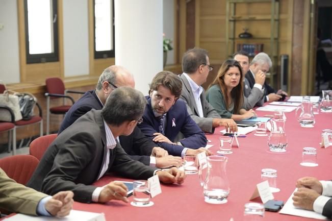 Reunión de los presidentes de cabildo con Clavijo