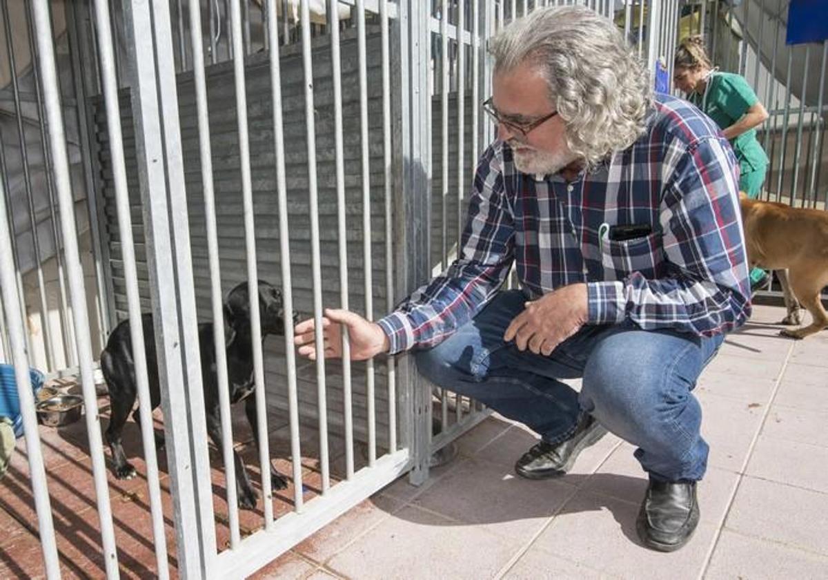 03/01/2019 ARUCAS. Albergue Insular de animales. Enrique Rodríguez, presidente del Colegio de Veterinarios. FOTO: J. PÉREZ CURBELO
