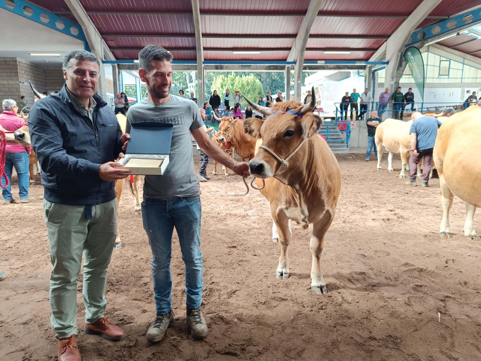 En imágenes: los premiados en la Muestra ganadera local de Cangas del Narcea