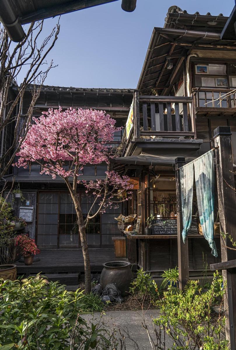 Calle de Asakura-chōsokan dōri en el barrio de Yanaka Japón