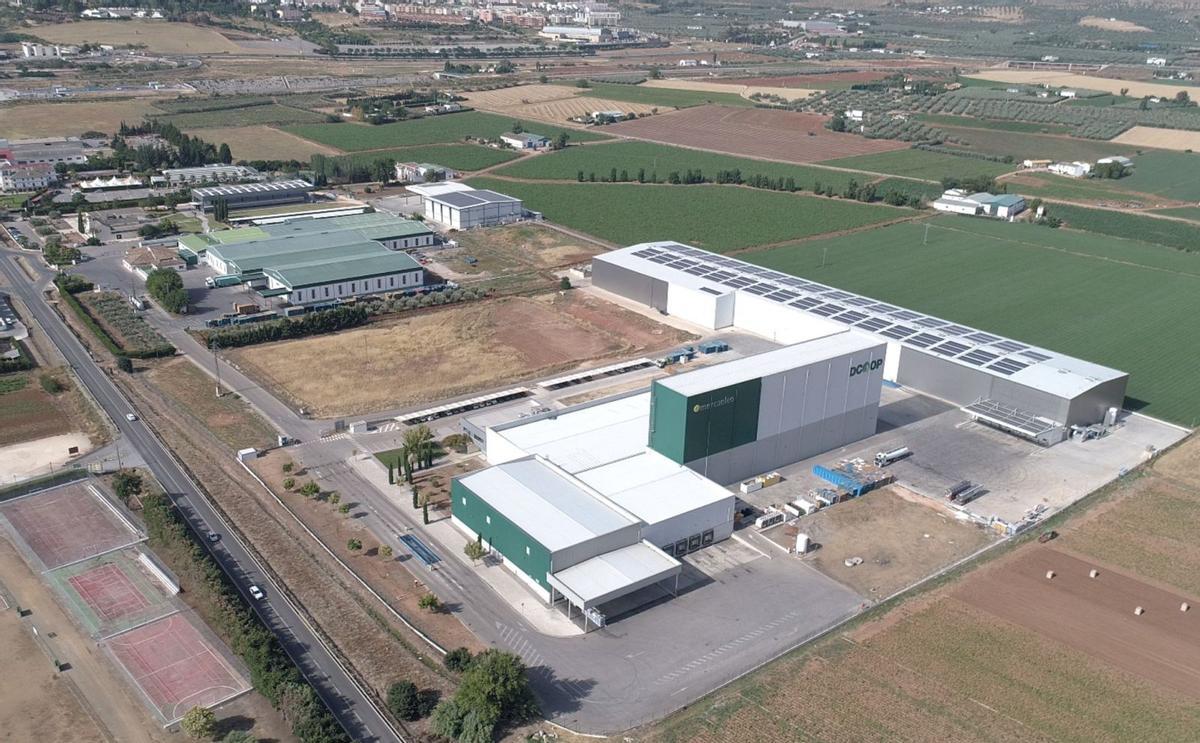 Instalaciones de Dcoop en Antequera.