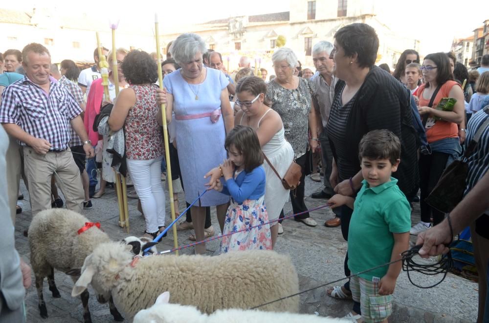 Cambados exalta a San Benito // Noe Parga