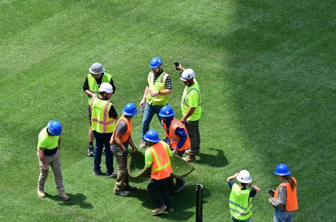 Así se prepara el SoFi Stadium de Los Ángeles para el Mundial 2026