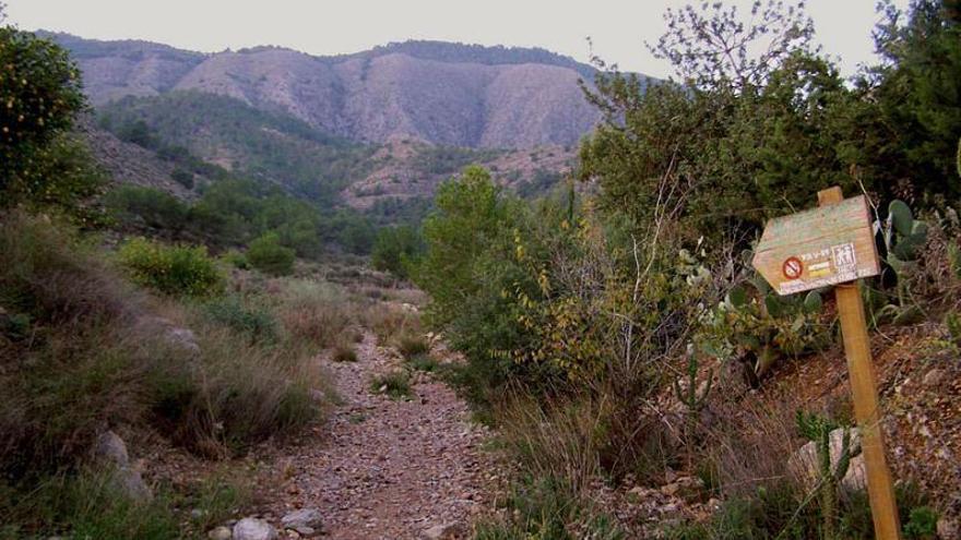 Subida a la sierra desde Montepinar