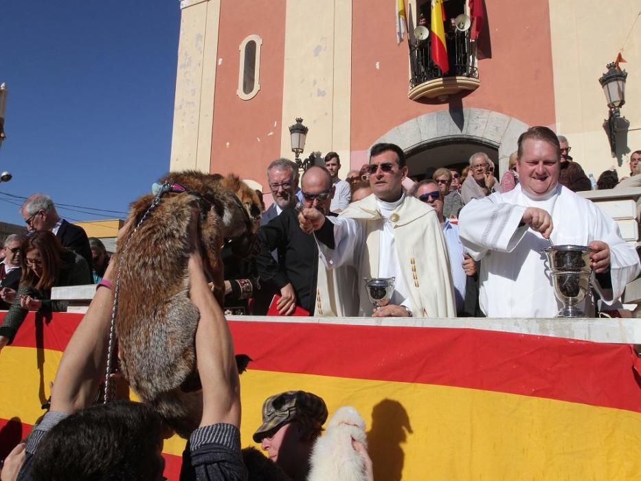 Los vecinos de Cartagena se han acercado junto a sus mascotas a recibir la bendición