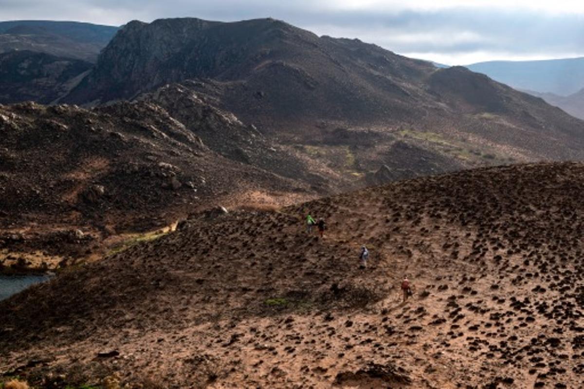 Territorio quemado en el entorno de A Lagoa da Serpe, en Ourense, tras los incendios del verano pasado.