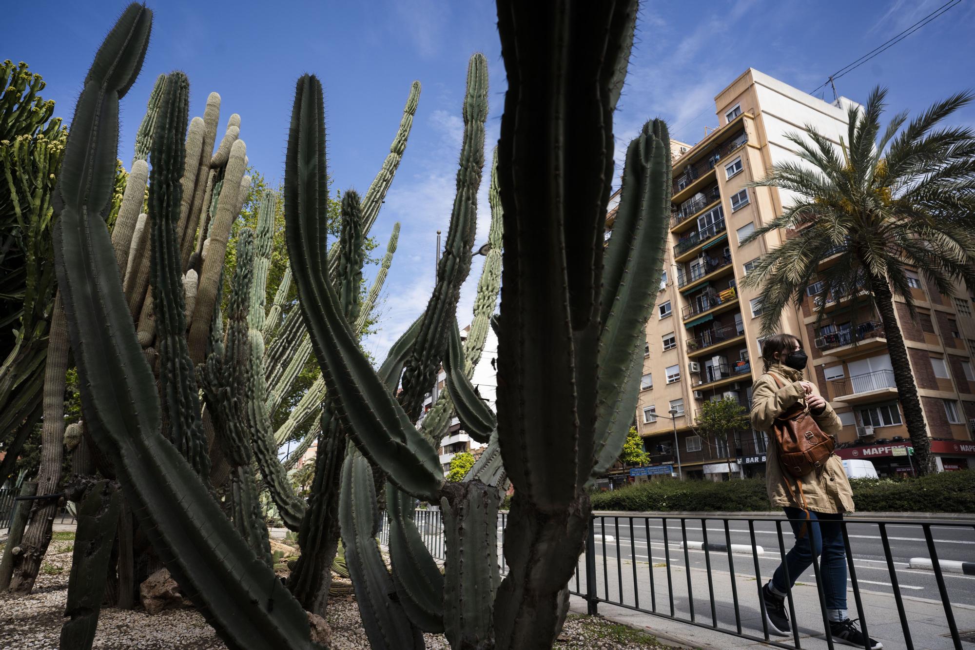 ¿Conoces los jardines de cactus de València?