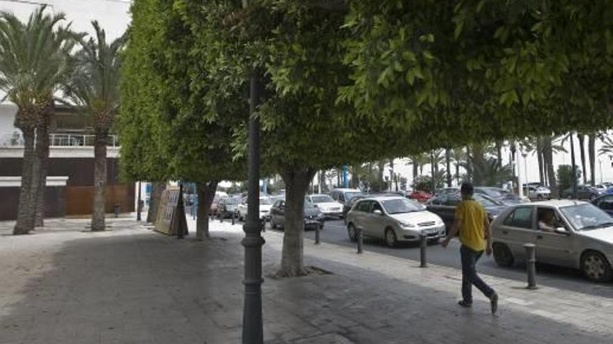 El Paseíto Ramiro, donde se produjeron los hechos, e imagen del perro tras ser requisado por la Policía.