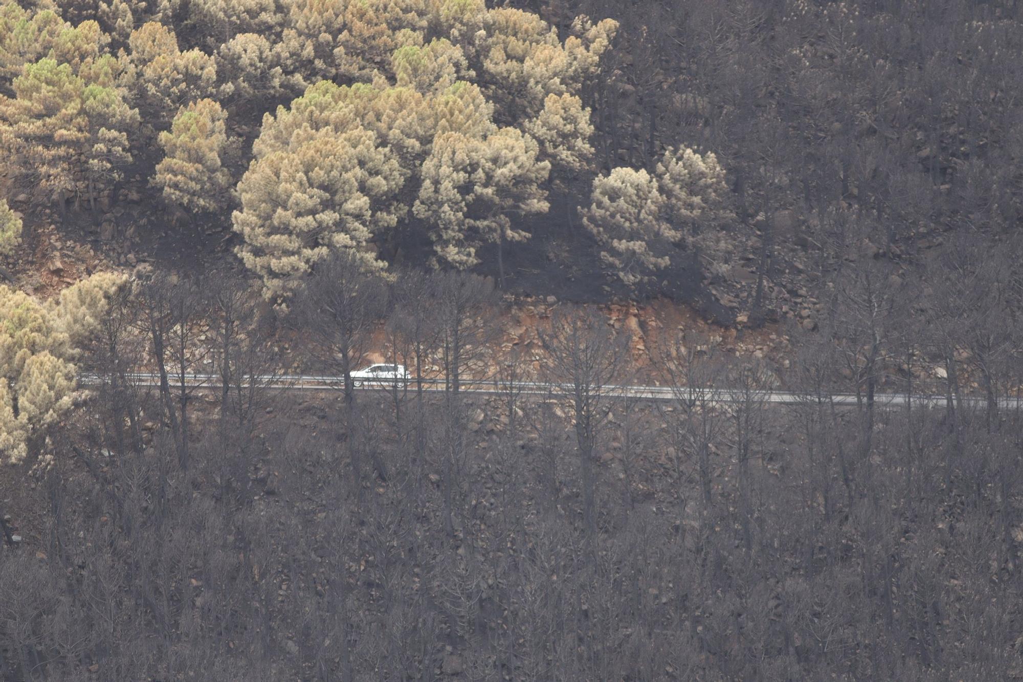 El Paraje de las Peñas Blancas en Estepona arrasado por el fuego