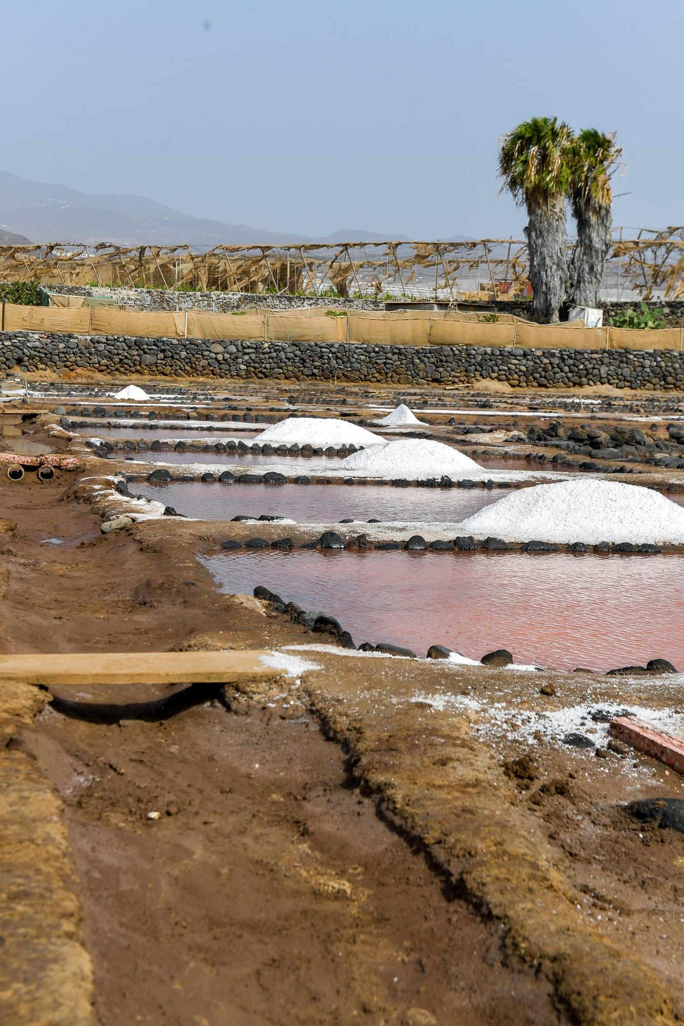 Salinas de Vargas