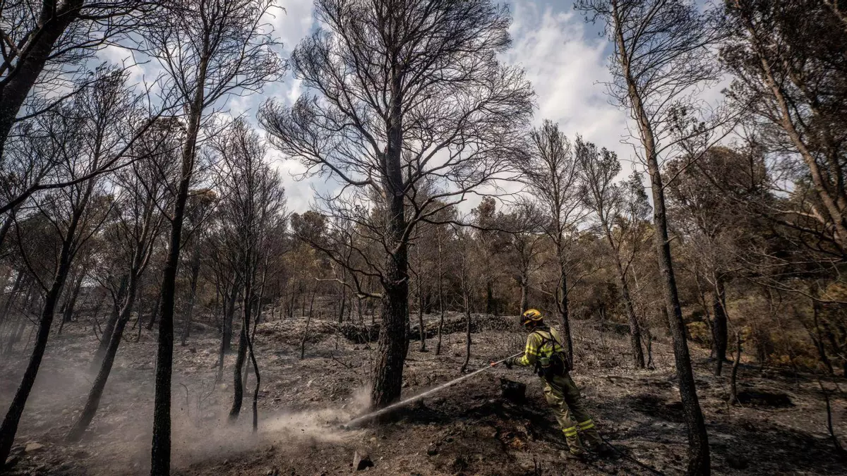 Extinguido el incendio de Paüls después de 9 días y 3.321 hectáreas afectadas
