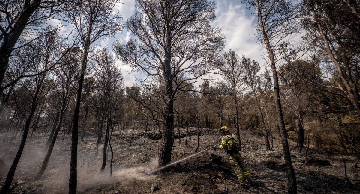 Un foc de gran intensitat Un foc de gran intensitat