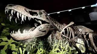 Los dinosaurios y sus descubridores toman Alcalá de Henares