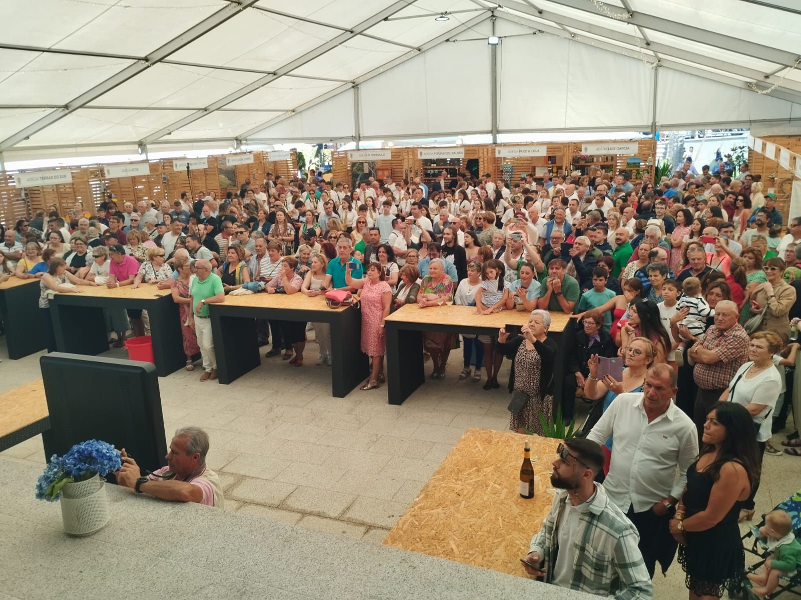 Asistentes a los actos de la Festa do Viño de Meaño.