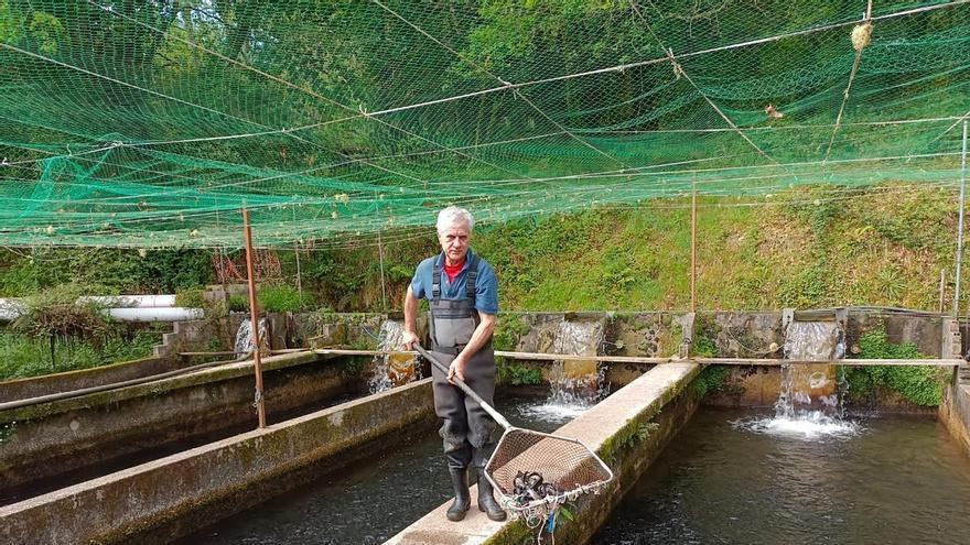 La acuicultura continental crece y roza ya los 12 millones de euros