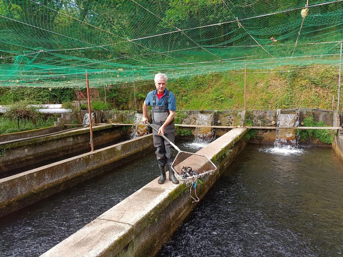 La piscifactoría de Javier de la Calle, en A Estrada.