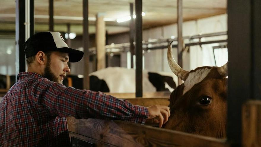 Cursos cortos y especializados