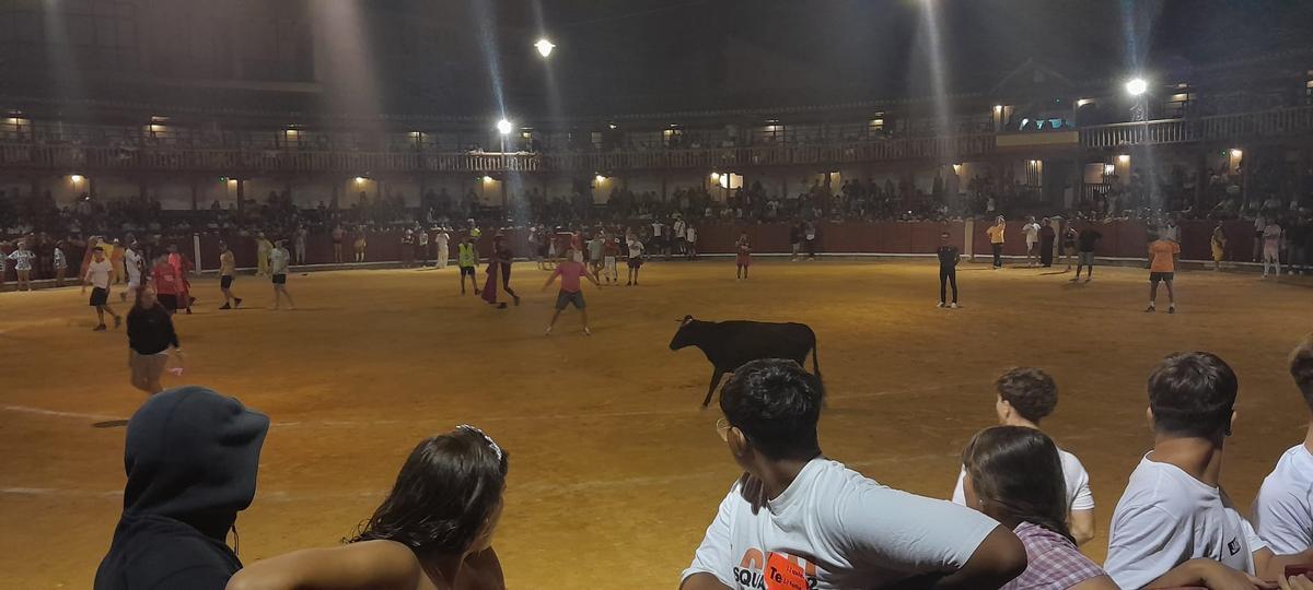 GALERÍA | La verbena taurina de las Fiestas de San Agustín de Toro, en imágenes GALERÍA | La verbena taurina de las Fiestas de San Agustín de Toro, en imágenes