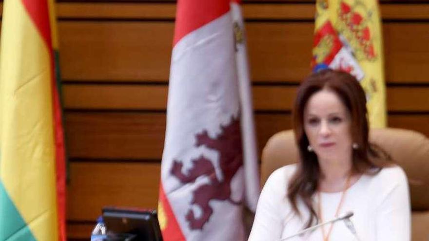 Sergio Rabanillo, de padre sanabrés, durante su intervención.