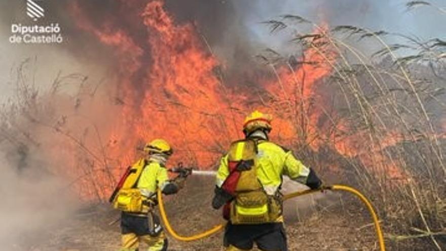 Video: Los bomberos intervienen el incendio forestal de Fanzara