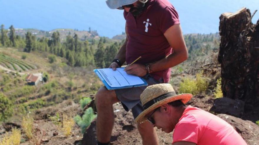 Alumnos durante el trabajo de campo que desarrolló el Campus de Arqueología.